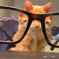 Tất cả mọi ng, trừ những ng cần trừ