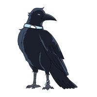 Jinjo