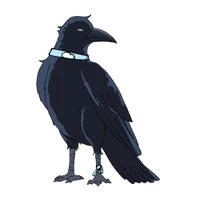 Jinjo