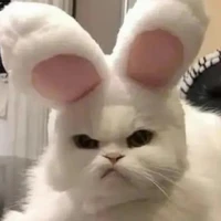 tác giả mến iuu🐸💋