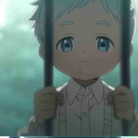 Norman Baby