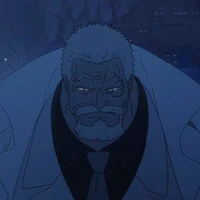 Monkey D. garp