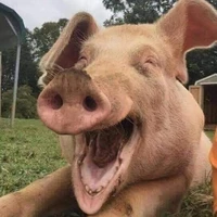 nào bias die tao mở party