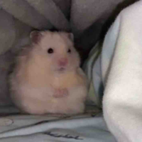 T/g