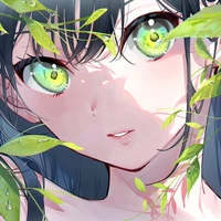 Mimayo Eri