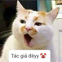 Tác giả zui tánh😌
