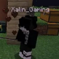 Xalin Gaming
