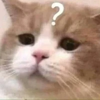 ?          ?           ?           ?