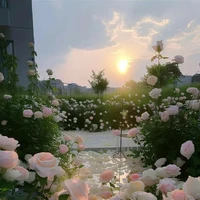 Mọi người