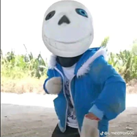 sans