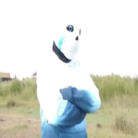 Sans Băng