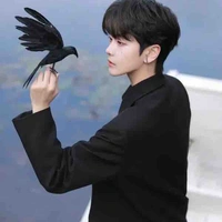 Lục Diệp Tiên 