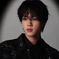 Kim Seok Jin ( Bạn Cô)