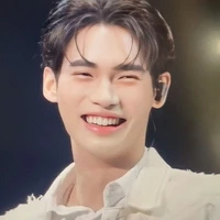 Metawin