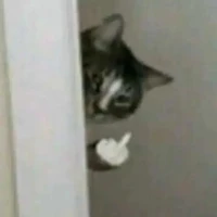 hai mắm éo sợ đời