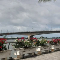 Tác giả đây