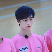 Tô Tân Hạo