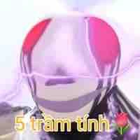 505