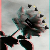 Phác Mẫn Kỳ (Tg)