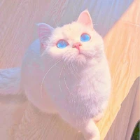 Min