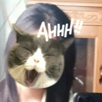 Chụy đệpp