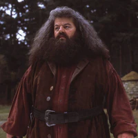 Hagrid