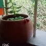 Nhân vật quần chúng