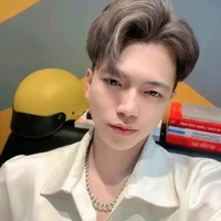 mr. vịt
