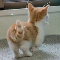 tg
