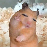 coan tác giả cutiiii :))