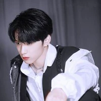 Lưu Diệu Văn_bạn anh