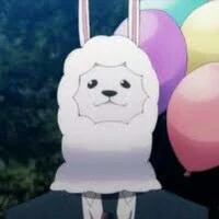 Paca
