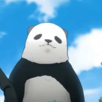 Bé gấu cute Pantarou