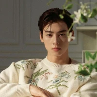 Cha Eun Woo ( anh )