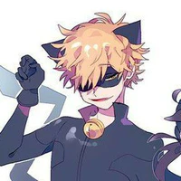 Chat Noir