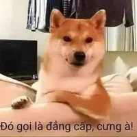 Con có nhà bà 6