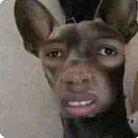 Nhân vật phụ - 1