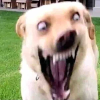 Cả lớp