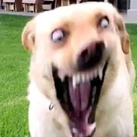 All