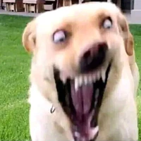 All