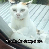 tác giả