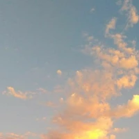 Tác giả hay quên đây