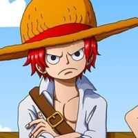 shanks