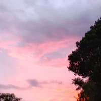Tất cả