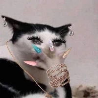 Tác giả là cô tiên bị Trĩ