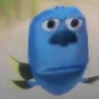T/G