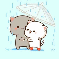 Tác giả