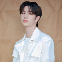 Vương Nhất Bác(anh)