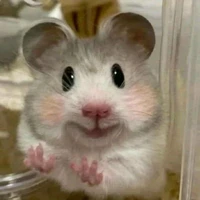 titi(bé của Khang)