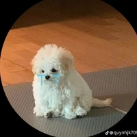 Mio(bé của Thành)